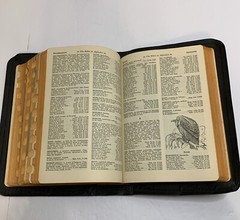 The Holy Bible 1950 Golden Book Edition Thumb Leather Binding KJV USA