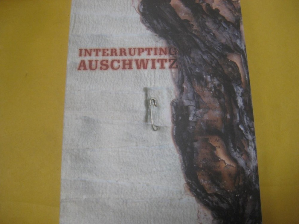 Interrupting Auschwitz: Art, Religion, Philosophy by Josh Cohen