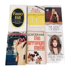 Vintage Pulp Erotica Lot of 6 Adult Paperbacks 60s & 80s, Fanny Hill, Flea