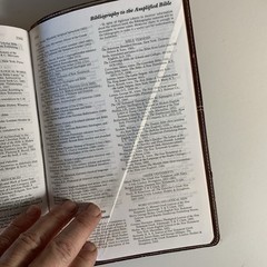 KJV, AMPLIFIED, Side-by-Side BIBLE, LARGE PRINT, IMITATION Zondervan