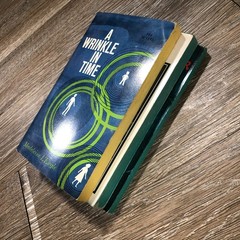 Madeleine L’Engle 3 Books Wrinkle in Time Wind in Door Tilting Planet Vintage