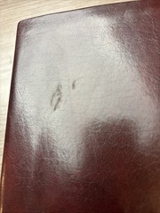 NET Bible – 60,932 Translators Quotes – Premium Bonded Leather ~Burgundy