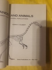 Wandering Lands And Animals