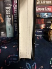 The Night Circus Erin Morgenstern out-of-print First Edition