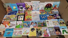 Lot of 10 Spanish Espanol Learn to Read Child Kids Picture ESL Book MIX UNSORTED