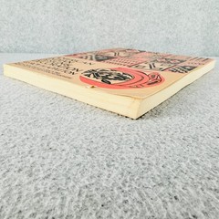 American Indian Design & Decoration Appleton 1971 Dover Edition Art History Book