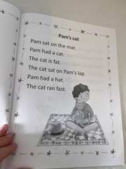 Decodable Readers Book Paperback Level 1 by Orton Gillingham