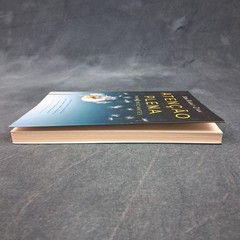 Atenção Plena Para Iniciantes Jon Kabat-Zinn Portuguese PB w/ CD LN