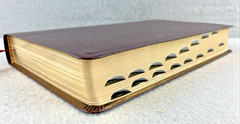 NIV, Thinline Reference Bible, Bonded Leather, Burgundy, Red Letter Edition