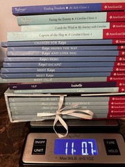 American Girl Books Lot (19 Books)