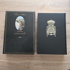 Pearl Buck 大地 The Good Earth Vol 1-2 Japanese HC Slipcase Set 1977 Complete VTG