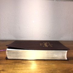 The Jack Van Impe Prophecy Bible ~ Red Letter ~ Limited Special Edition