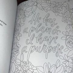 Scriptures and Florals Coloring Book – Paperback By Loveall, Allison 96 Pages