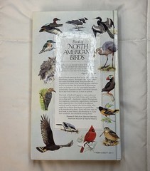 Book of North American Birds Reader’s Digest Hardcover 1990 Illustrated Guide