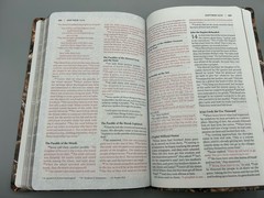 NIV Holy Bible Outdoorsman Realtree Camo Zondervan 2011 – VG+