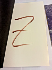 Tom’s Crossing: A Novel by Mark Z. Danielewski 2025 HC SIGNED 1st w/Art Print