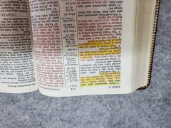 Holy Bible (KJV) Reference Edition 1972 Red Letter, Leather, Thomas Nelson 586BG
