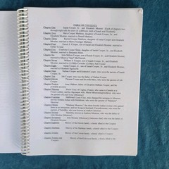 THE COOPER-HEWITT-MATHENY HISTORY ; 175 PAGES ; ILLUSTRATED
