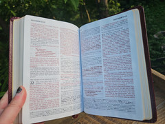 OOP HCSB Pocket-Size Bible Burgundy Bonded Leather with original box & magnifier