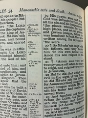 Holy Bible Cameo 16mo PCE Pure Cambridge Edition Antique French Morocco Leather