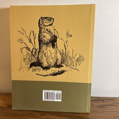 Woodchucks and Woodchuck Rifles [Illustrated Edition] by Charles Singer Landis