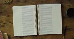 ESV Spiral-Bound Journaling Bible, New Testament (Hardcover): Holy Bible, Englis