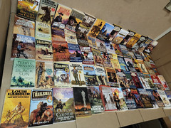 Lot of 10 Zane Grey Louis L’amour Western Paperback Fiction Books MIX UNSORTED