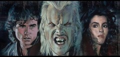 lost in the shadows the story of the lost boys softback (2017) Edition book NEW