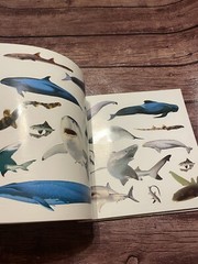 Sticker Fun Book of Animals Funfax SEE NOTES