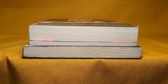 Temptation Discernment Saving Damned Catholics Hollywood Views 3 PB book lot