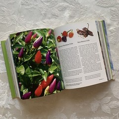 1001 Ser: 1001 Foods You Must Taste Before You Die by Universe 2008 Wallace Case