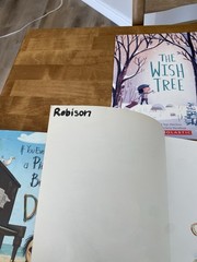 Lot Of 17 Children’s PB Picture Books| Scholastic Ages 2-8 RL 1-2