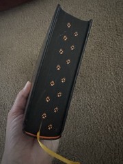 Brimstone Target Exclusive Edition by Callie Hart Hardcover Painted Pages Ribbon