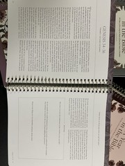 The Daily Grace Co. A Year in the Bible Daily Spiral Planner