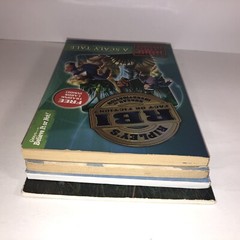 Childrens Chapter Books Lot of 4 Bundle Ages 6-10 Kids Reading Homeschool