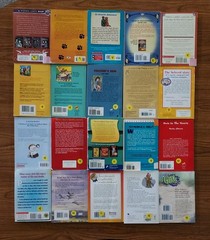 Lot of 20 Chapter Books for 4th Grade Boys & Girls Classroom RL4, AR