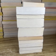 Lot of 10 BARNES & NOBLE CLASSICS Paperbacks 1 Smaller Tolstoy Sun Tzu Hardy