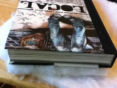 Local Complete Deluxe Hardcover Graphic Novel Brian Wood Ryan Kelly