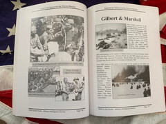 AMERICAN SAMURAIS WWII IN PACIFIC Nisei MIS OSS More! Pierre Moulin Free US Mail