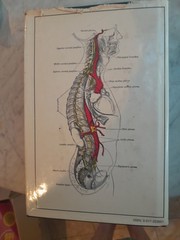 Gray’s Anatomy: The Classic Collector’s Edition~Henry Gray~VINTAGE 1977 HC/DJ