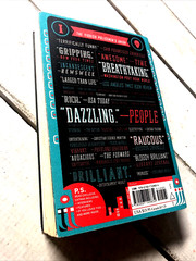 The Yiddish Policemen’s Union : A Novel by Michael Chabon (2008) P. S. Ser.ies