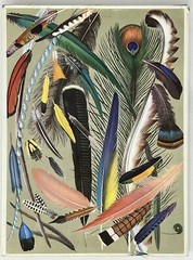 World Of Birds: New & Revised Ed. by James Fisher & Roger Tory Peterson HC w/ DJ