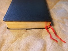 新譯和合聖經 New Chinese Version Union Parallel Bible Worldwide Bible Society