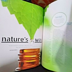 The Essential Guide To Alternative Medicine – Feel Better Fast -Proven Therapies