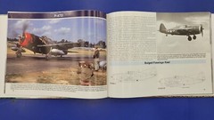 SQUADRON P-47 Thunderbolt Action Military Photo Hardcover Book WWII US Aircraft