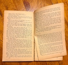 Lot of 17 Classic Lit Fiction Books (Varied Authors)