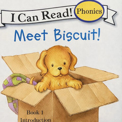 Biscuit I Can Read Phonics 24 Book Lot Kids Early Readers Learn to Read
