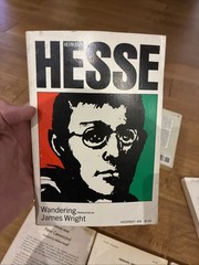 Vintage Hermann Hesse Paperback Book Lot (10 Volumes) – Noonday Press Editions