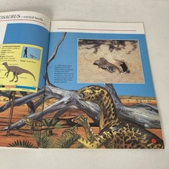 Vintage 1993 DINOSAURS Dougal Dixon Lot of 5 Highlights Books for Children