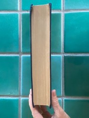 The Truth about the Treaty by Andre Tardieu 1921 Bobbs-Merrill HC hardcover
